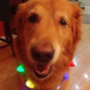 Meet your Posher, Jerri